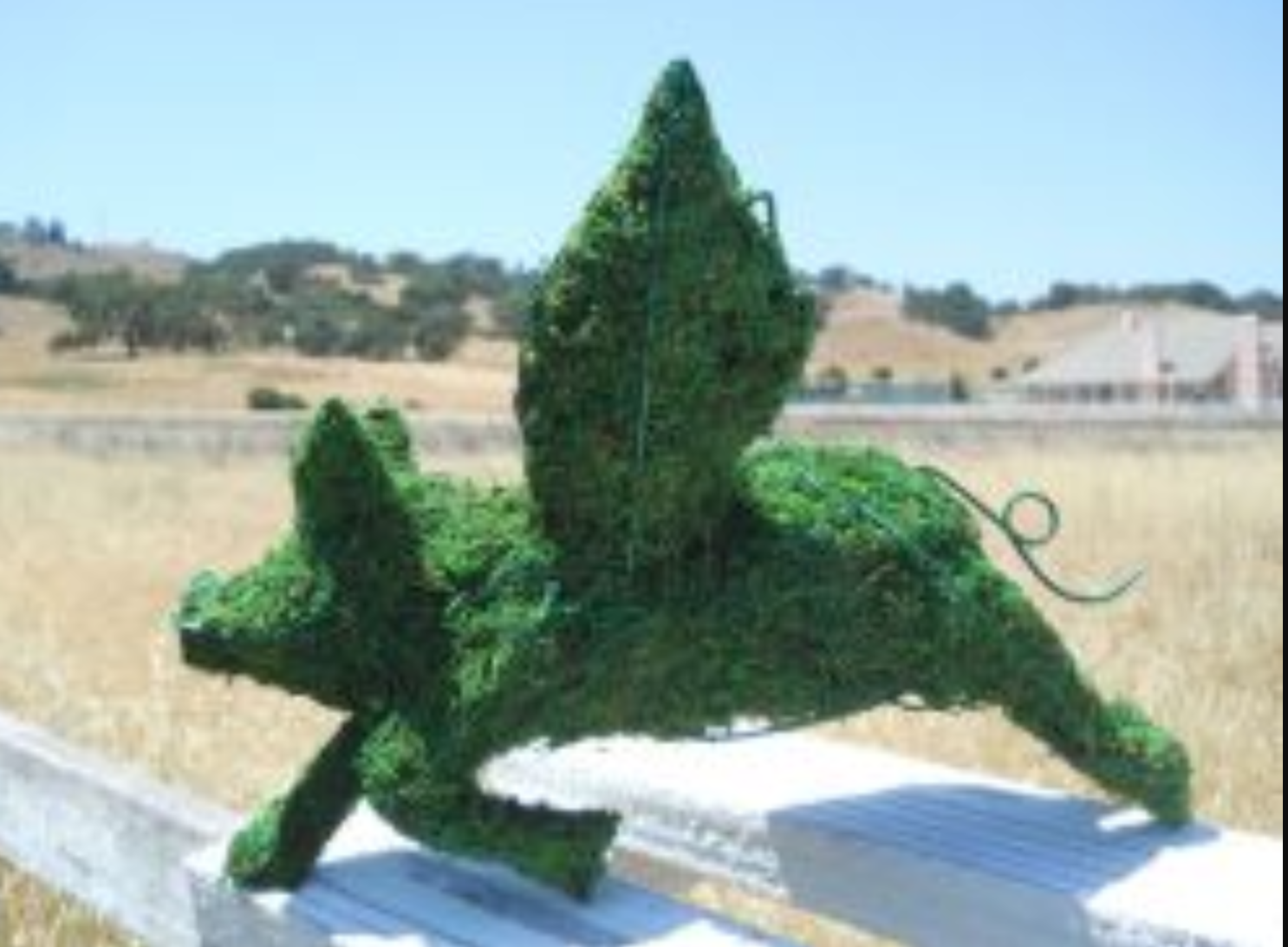 Flying Pig Frame Topiary with Moss 12 inches tall